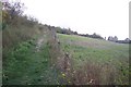 Footpath towards Shrub Hill