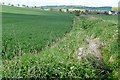 Footpath to Downton