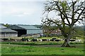 Milking time at North End Farm