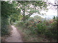 Bridleway Catsland Lane