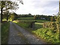 Farm track and public footpath