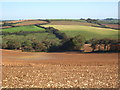 Fields near Levardro