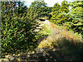 Trackbed, Swindon and Highworth Light Railway, Stanton Park, Swindon (3)