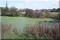 Green pond near High Halden