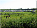 Looking E from footpath at Barville Farm