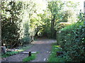 Bridleway from Boxhill Road