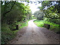 Bridge over the stream at Ninnis