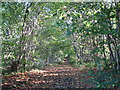 Footpath from Boxhill Road to Station Road