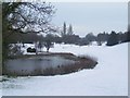 Monmouthshire golf course