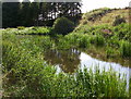 NJ6438 : Pond below Meadowhead, Ythanwells by David Ball