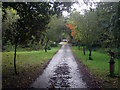 Entrance track to Tile Hurst Farm