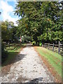 Track through Finkley Down Farm