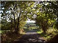 Shorts Lane near Dore