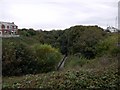 Rockhouse Dene, Seaham