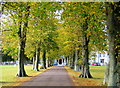 SP0001 : Autumn colours - Royal Agricultural College by Sarah Smith
