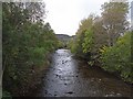 Yarrow Water at Carterhaugh Bridge