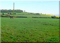 Horse Paddocks at East Farm