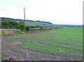 Fields near East Field Farm