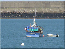 SM9538 : Crab boat, Fishguard Harbour by Pauline E