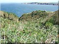 Scrubby valley between the coast path and the sea