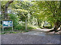 Forest Cycleway