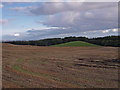 Stubble Field near Barscube