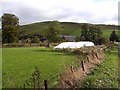 Polytunnels at Howden Farm