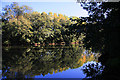 Rougham Lake