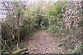 Greensand Way in Beechmont Bank near timberworks