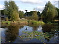 Mile End Ecology Park