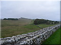NY7868 : Hadrian's Wall looking east at Housesteads by PAUL FARMER