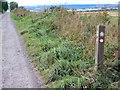 Cateran Trail above Blairgowrie