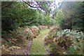 Footpath in Hyde