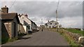 Houses (and a dog) on Rocks Road, Ballyhornan