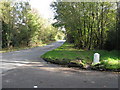 Legsheath Lane heading towards Wych Cross