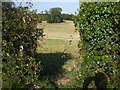 Access to footpath, Maes-y-Bryn Rd, Cardiff