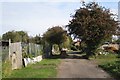 North track, New Milverton allotments, Leamington Spa