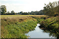 Reed-fringed bank of the River Leam near Eathorpe Park