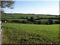 Valley above Great Pethill Wood