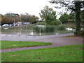 Fishing pond in the corner of Radnor Park