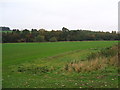 Fields  in the River Eamont valley