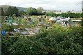 Woodland Road allotments, Cwmbran