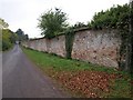 Wall, Hestercombe Road