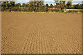 SP4959 : Drill lines in a harrowed field near Northfields Farm by Andy F