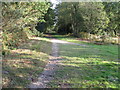 Junction of two paths on Access land adjacent to the A22