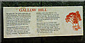 Information board for Gallow Hill and ice house