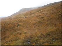 NH2207 : Meall Dubh from Carn Dearg northern slopes by Sarah McGuire