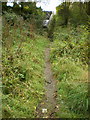 Footpath off Rock Lane