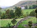 Stone walls and rough grazing, Folda