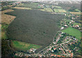 Aerial view of Pound Wood nature reserve